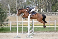 BIENVENUE AUX CRINIERES DU SOLEIL